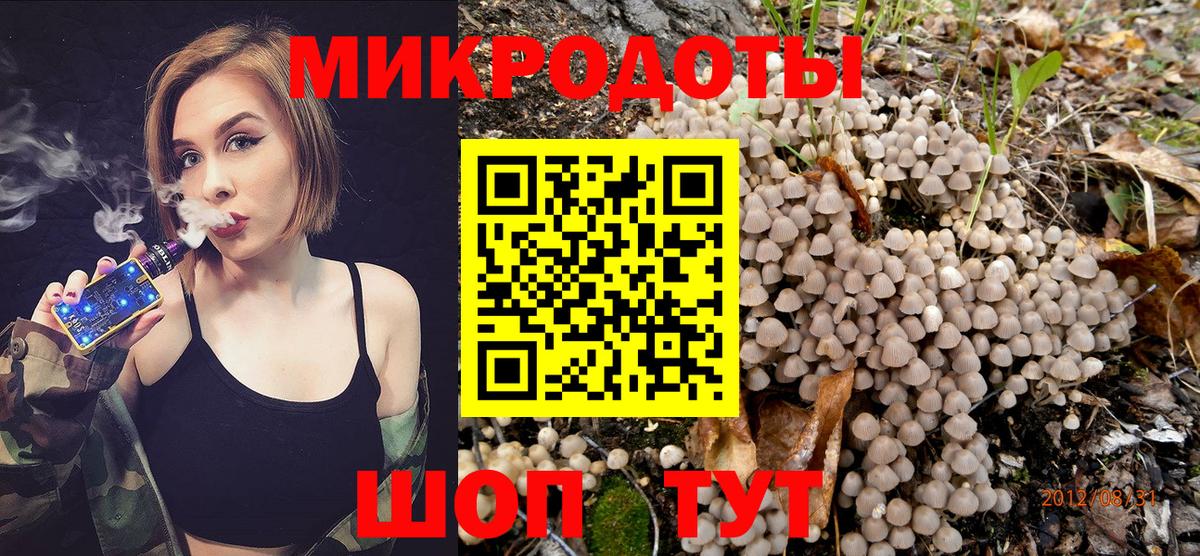 Уссурийск  Псилоцибиновые грибы Psilocybine cubensis  Вход с VPN 
